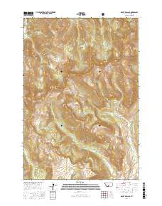 Mount Wallace 2017 topographic map thumbnail