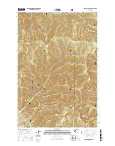Nevada Mountain 2017 topographic map thumbnail