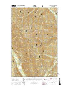 Newton Mountain 2017 topographic map thumbnail