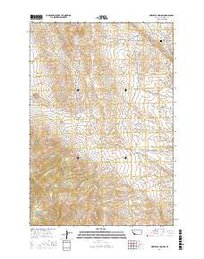 Nez Perce Hollow 2017 topographic map thumbnail