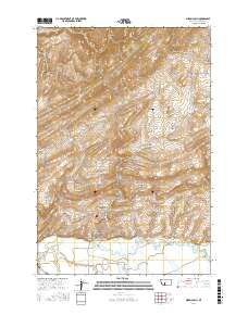 Nixon Gulch 2017 topographic map thumbnail