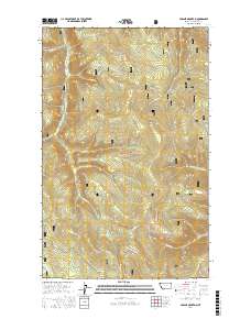 Parsnip Mountain 2017 topographic map thumbnail