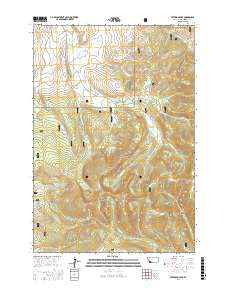 Peterson Lake 2017 topographic map thumbnail