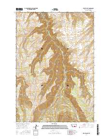 Peyote Point 2017 topographic map thumbnail