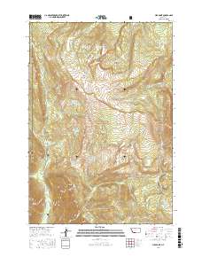 Pika Point 2017 topographic map thumbnail
