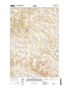Pine View 2017 topographic map thumbnail