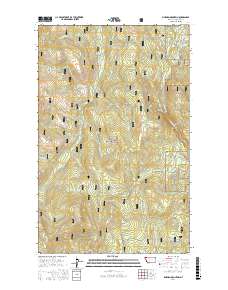 Pinkham Mountain 2017 topographic map thumbnail