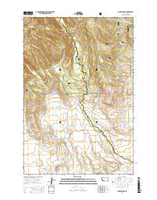 Pintler Lake 2017 topographic map thumbnail