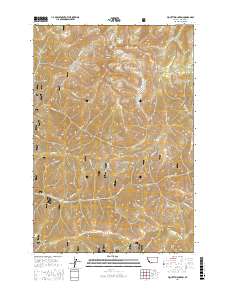 Piquett Mountain 2017 topographic map thumbnail