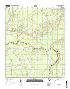 Maple Cane Swamp 2017 topographic map thumbnail