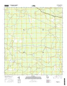 Pineland 2017 topographic map thumbnail