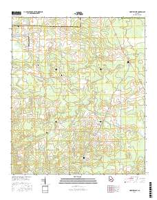 Pineview East 2017 topographic map thumbnail