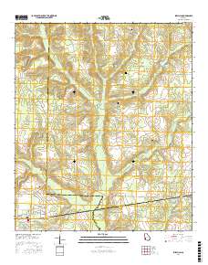 Shellman 2017 topographic map thumbnail