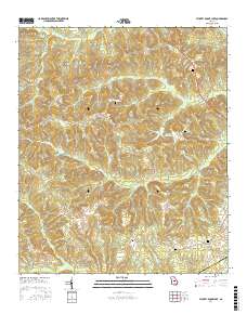 Stuckey Boone Lake 2017 topographic map thumbnail
