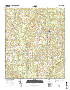Twin City 2017 topographic map thumbnail