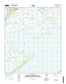 Wassaw Sound 2017 topographic map thumbnail