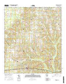 Whigham 2017 topographic map thumbnail