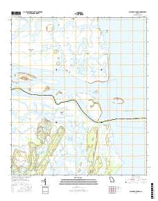 Altamaha Sound 2017 topographic map thumbnail