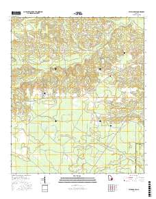 Altamaha SW 2017 topographic map thumbnail