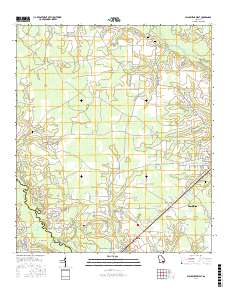 Blackshear West 2017 topographic map thumbnail