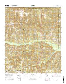 Ellaville North 2017 topographic map thumbnail