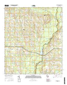 Ellenton 2017 topographic map thumbnail