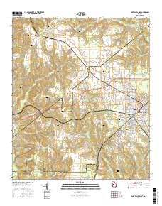 Fort Valley West 2017 topographic map thumbnail