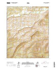 Tanana D-2 NE 2017 topographic map thumbnail