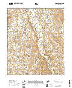 Chandler Lake D-1 NE topographic map thumbnail