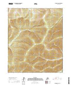 Livengood A-2 NE 2017 topographic map thumbnail