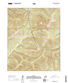 Livengood A-3 NE 2017 topographic map thumbnail