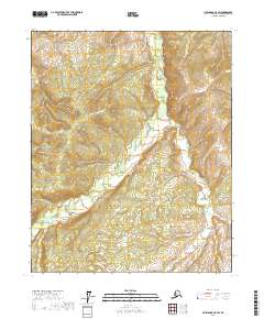 Livengood C-5 SW topographic map thumbnail