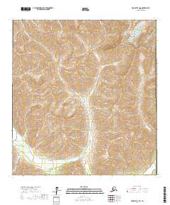 McGrath B-1 NE 2017 topographic map thumbnail