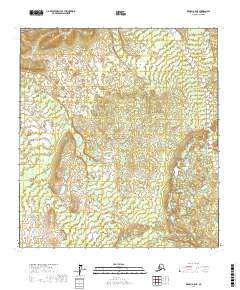 Denali A-5 NE 2017 topographic map thumbnail
