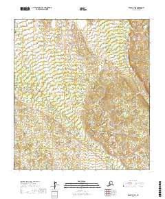 Denali B-4 NE 2017 topographic map thumbnail