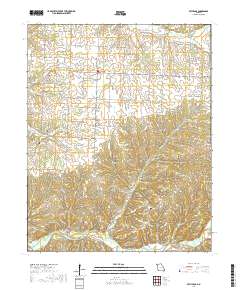 Bethpage 2017 topographic map thumbnail