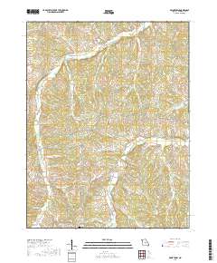 Brinktown 2017 topographic map thumbnail