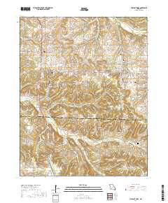 Pleasant Hope 2017 topographic map thumbnail