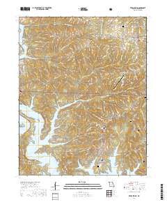 Reeds Spring 2017 topographic map thumbnail