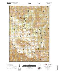 Bald Mountain 2017 topographic map thumbnail