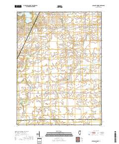Shabbona Grove 2018 topographic map thumbnail