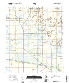 Forked Island NW 2018 topographic map thumbnail