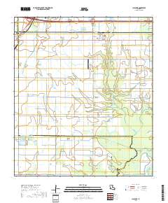 Lacassine 2018 topographic map thumbnail