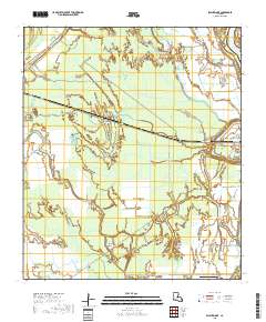 Swayze Lake 2018 topographic map thumbnail