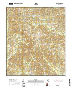 Browns Lake 2018 topographic map thumbnail