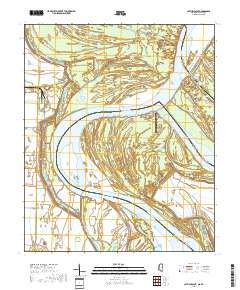 Catfish Point 2018 topographic map thumbnail