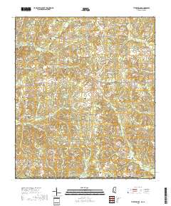 Tylertown SE 2018 topographic map thumbnail