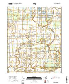 Walnut Lake 2018 topographic map thumbnail