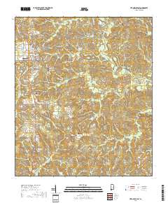 Citronelle East 2018 topographic map thumbnail