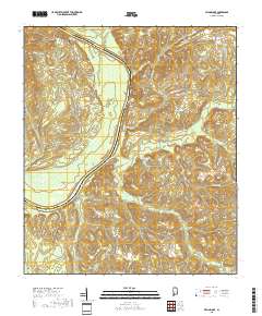 Flynns Lake 2018 topographic map thumbnail